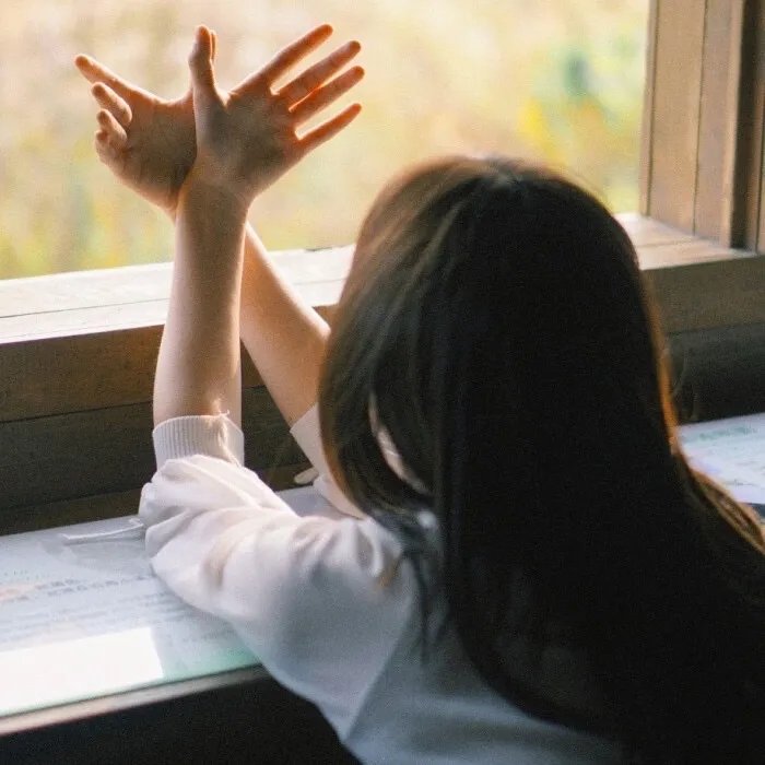 鲁邦三世:微风公主~隐藏的天空之城